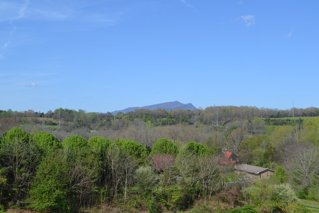 1160 Denton Road Sevierville, TN 37862 - Photo 4 of 61