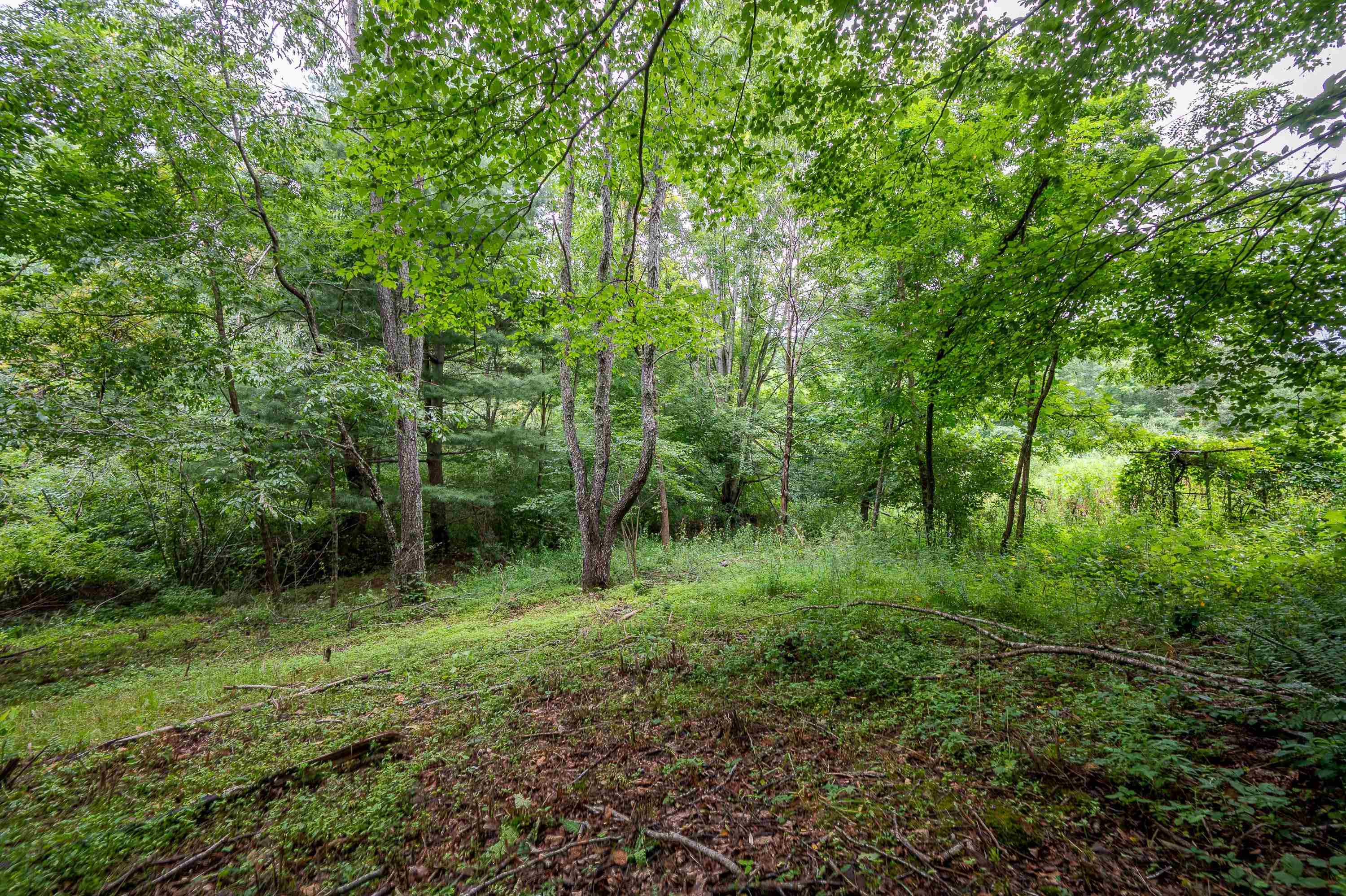 2890 Stonewall Road Northeast Pilot, VA 24138 - Photo 32 of 40 Gallery Image 32