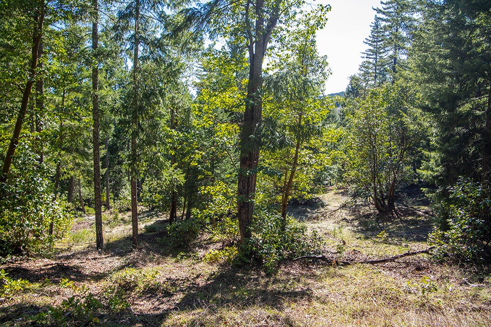 0 Jumpoff Joe Creek Road, Unit 200 Rogue River, OR 97537 - Photo 27 of 48 28