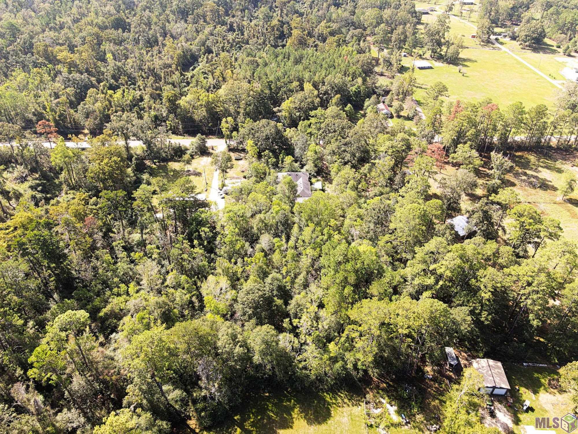27402 South Satsuma Road Livingston, LA 70754 - Photo 3 of 7