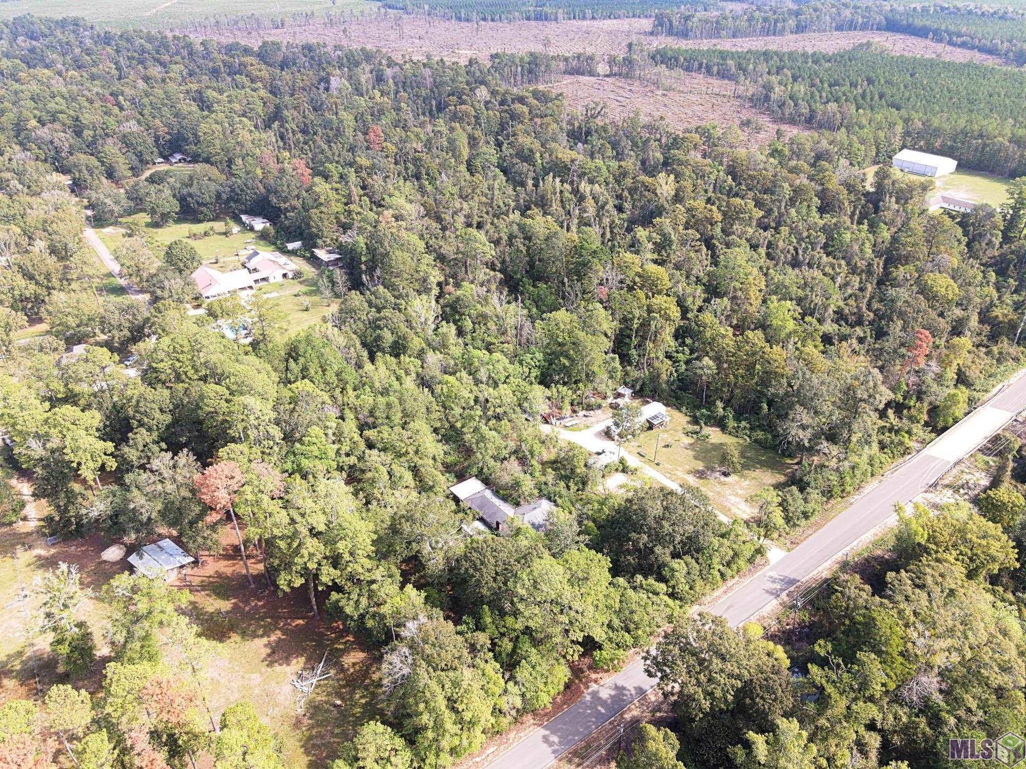 27402 South Satsuma Road Livingston, LA 70754 - Photo 4 of 7