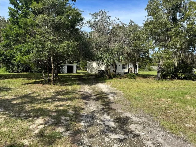 a view of park with trees