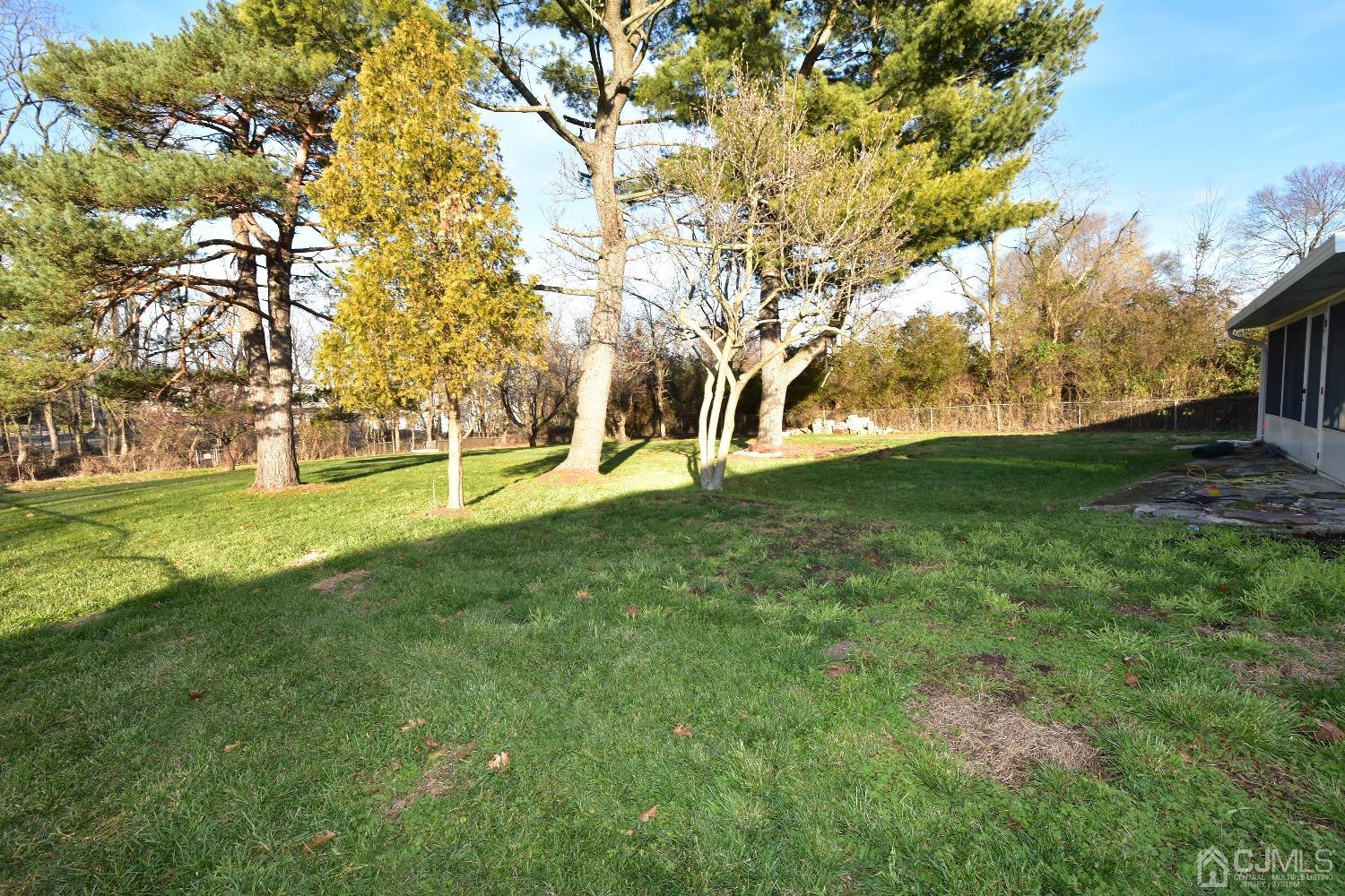 7 Calvin Road Kendall Park, NJ 08824 - Photo 25 of 28 a view of yard with trees