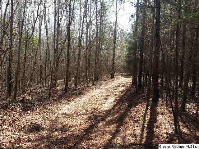 267 County Road, Unit 53 Lanett, AL 36863 - Photo 6 of 9