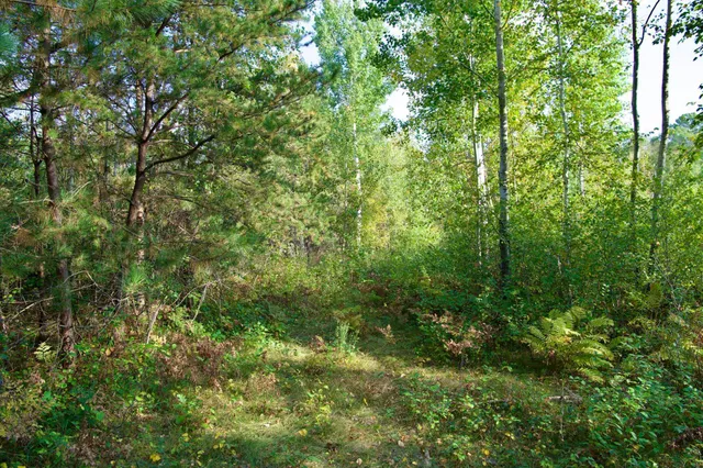 $525,000 | 371 Brainerd Mn 56401, Brainerd, MN 56401