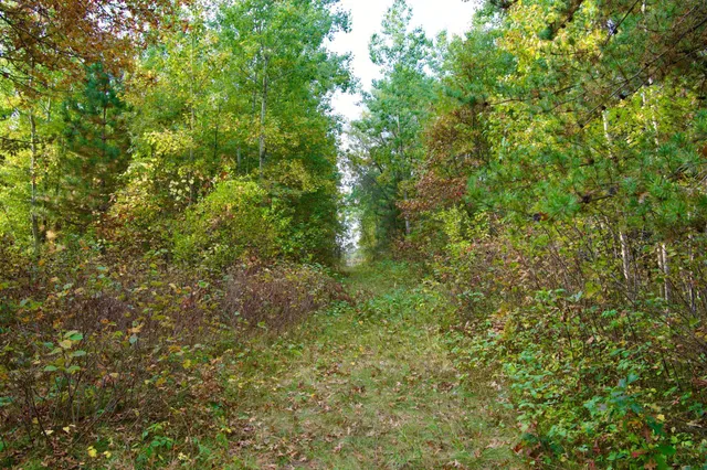 $525,000 | 371 Brainerd Mn 56401, Brainerd, MN 56401