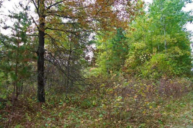 $525,000 | 371 Brainerd Mn 56401, Brainerd, MN 56401