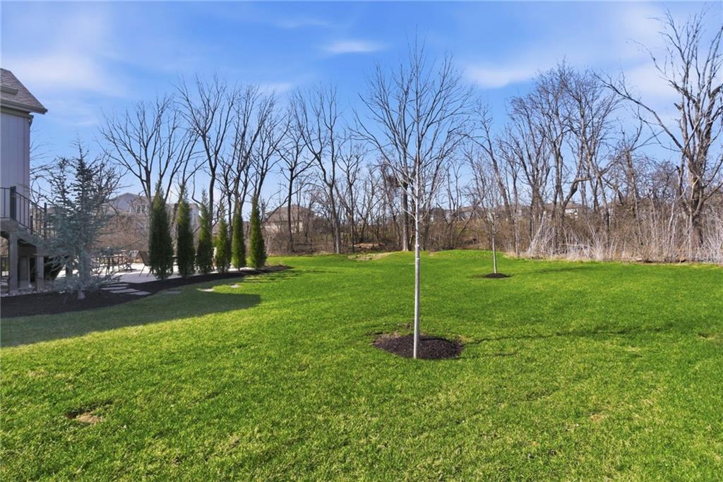 21122 189th Street Spring Hill, KS 66083 - Photo 45 of 55