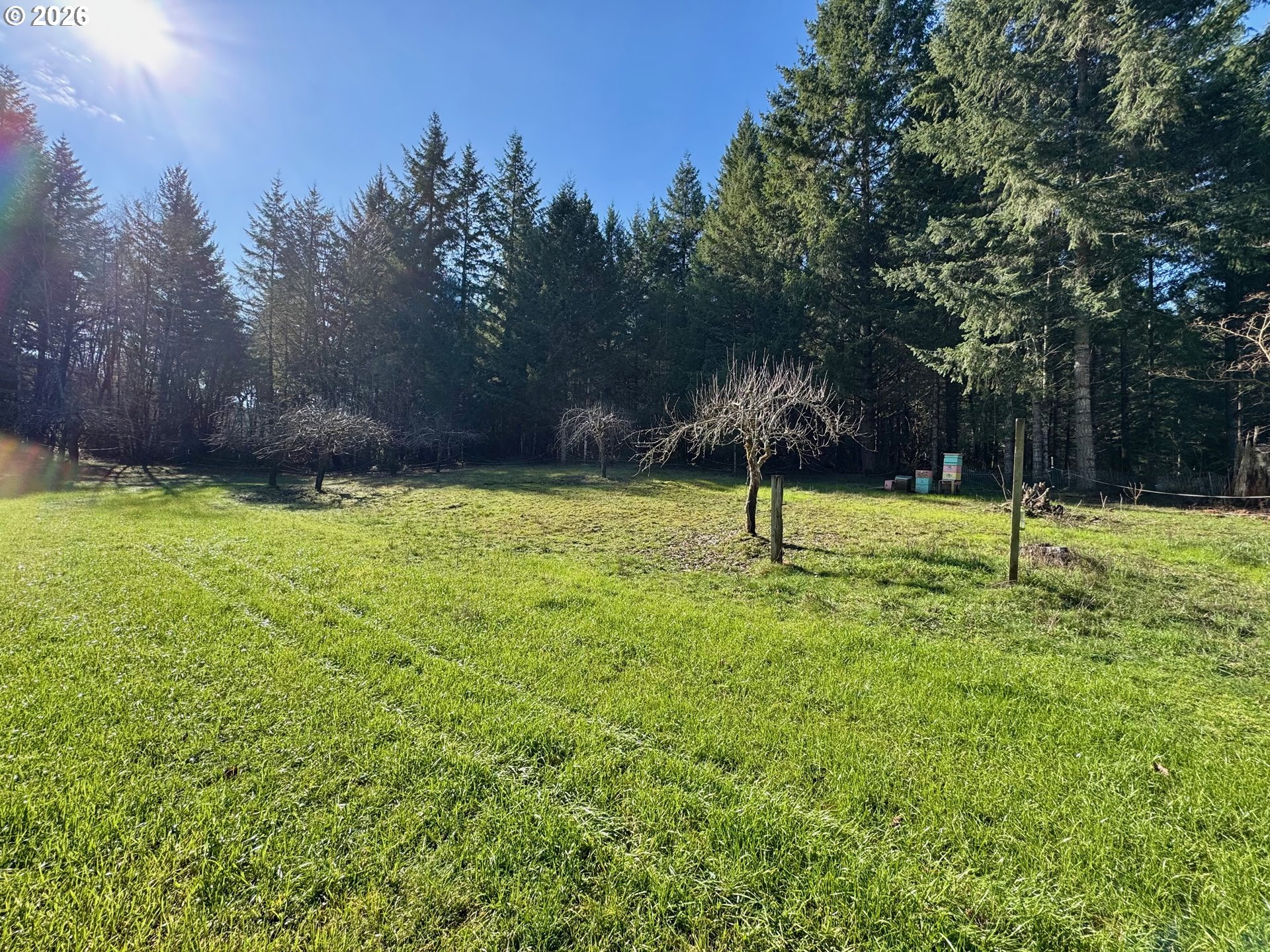 90416 Sheffler Road Elmira, OR 97437 - Photo 38 of 42