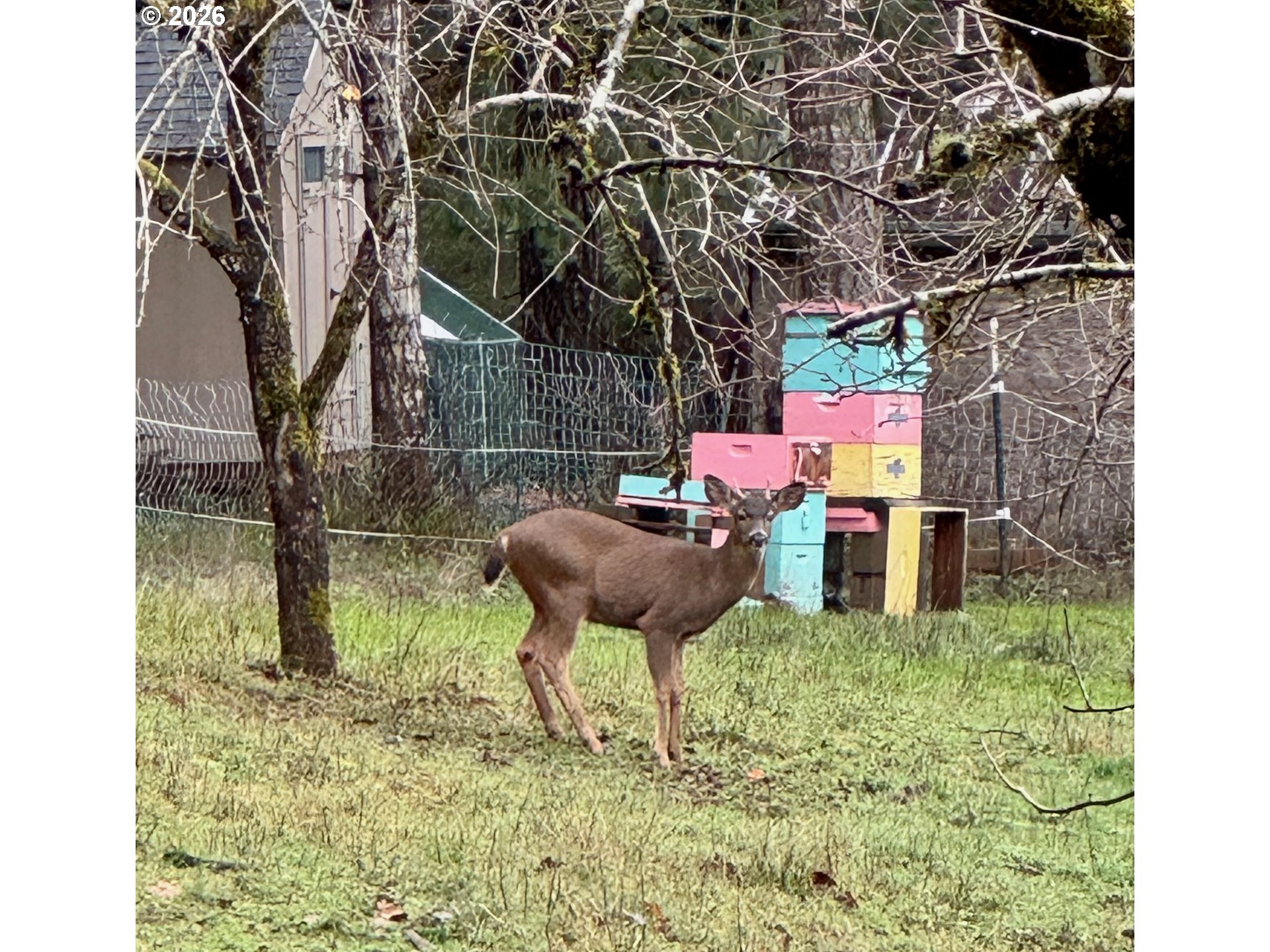 90416 Sheffler Road Elmira, OR 97437 - Photo 39 of 42