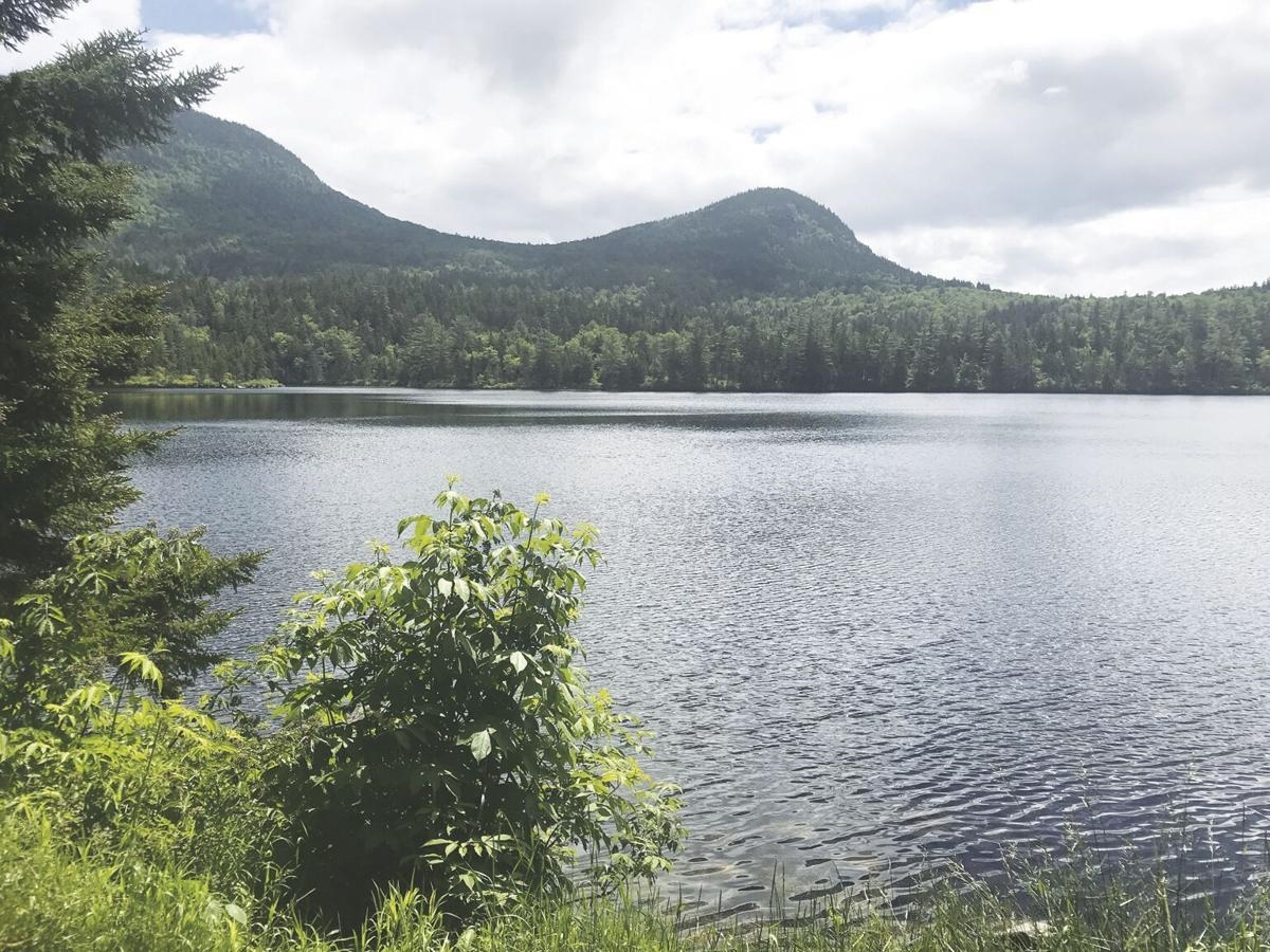0 Dock Road Gilmanton, NH 03237 - Photo 1 of 21 Gallery Image 1