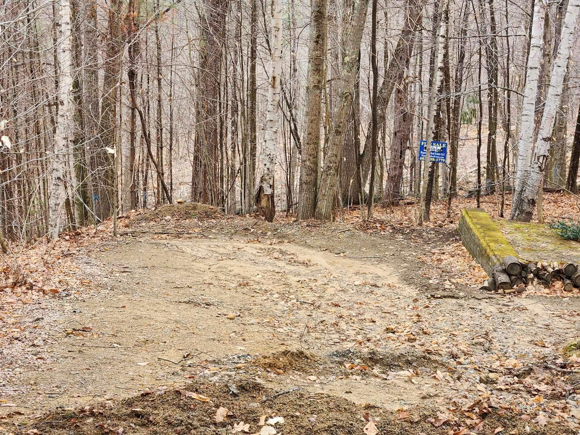 0 Dock Road Gilmanton, NH 03237 - Photo 8 of 21 Gallery Image 8