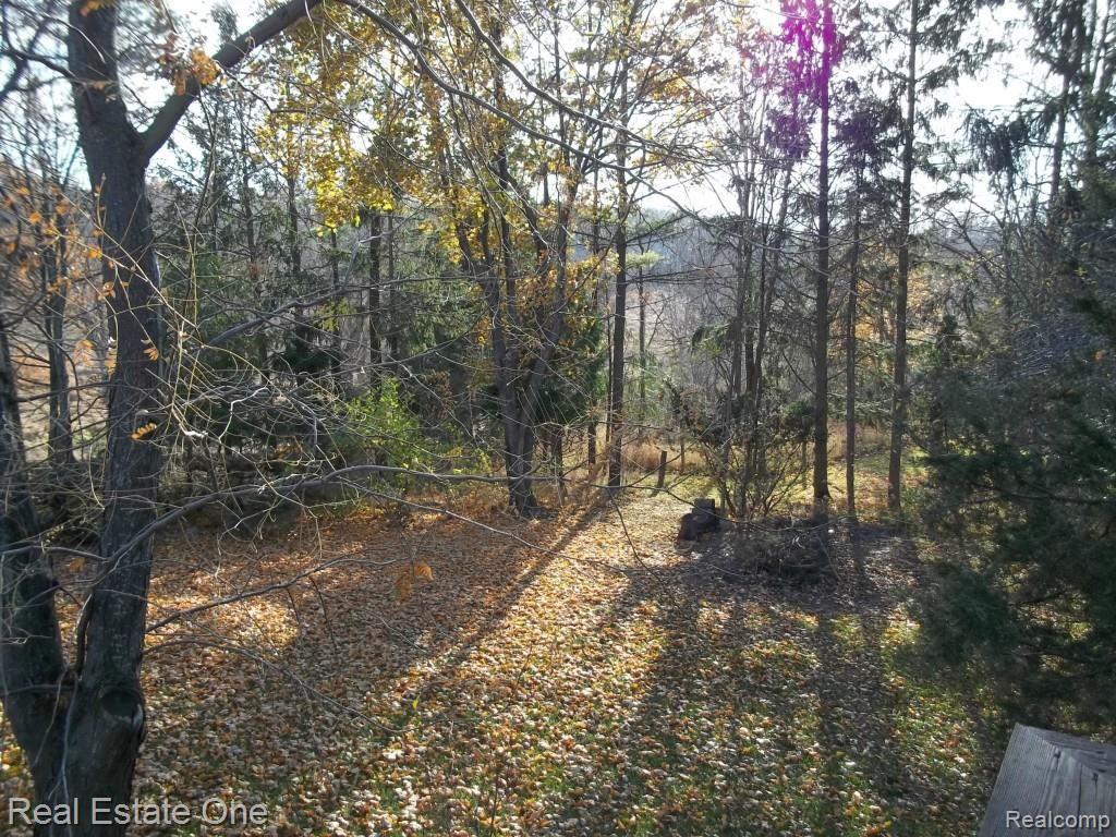 4891 Genesee Road Lapeer, MI 48446 - Photo 18 of 34 WEST VIEW.jpg