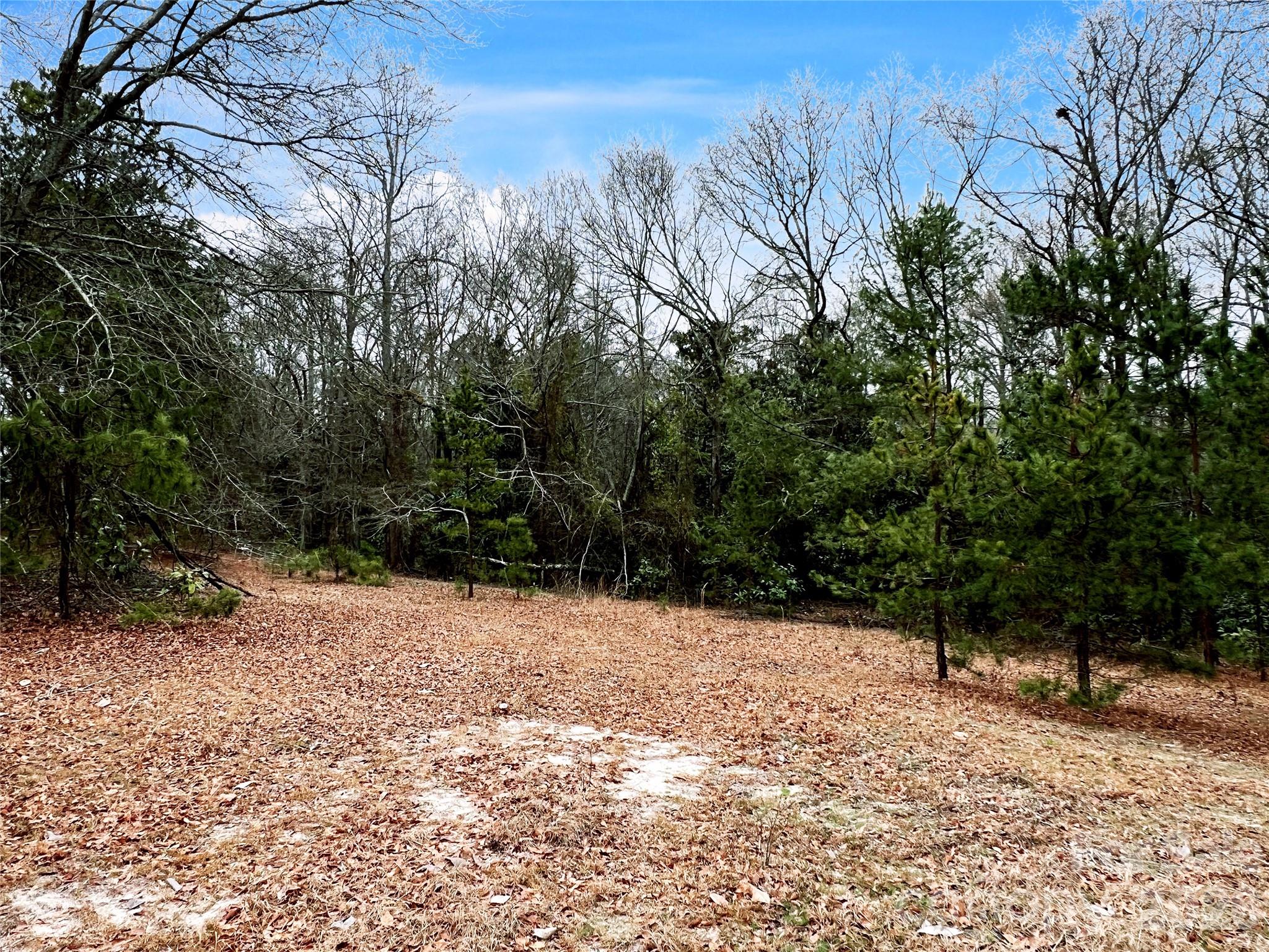 1777 Overbrook Road Kershaw, SC 29067 - Photo 12 of 25 a view of a yard covered with trees