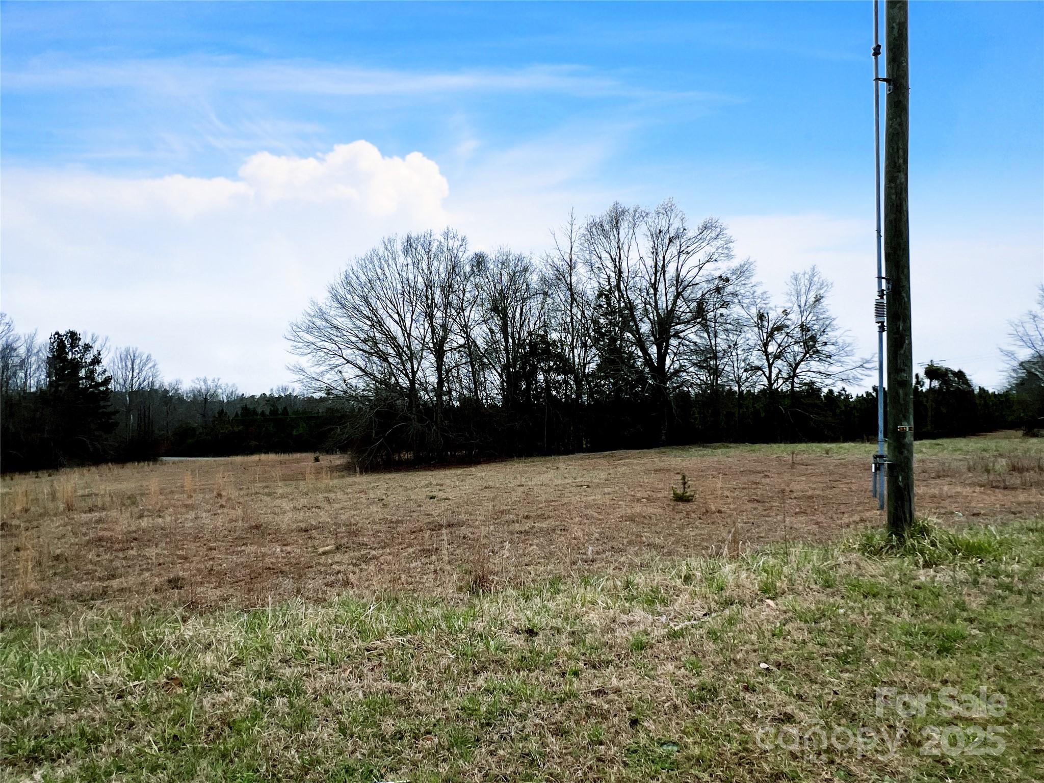 1777 Overbrook Road Kershaw, SC 29067 - Photo 12 of 24 a view of a yard