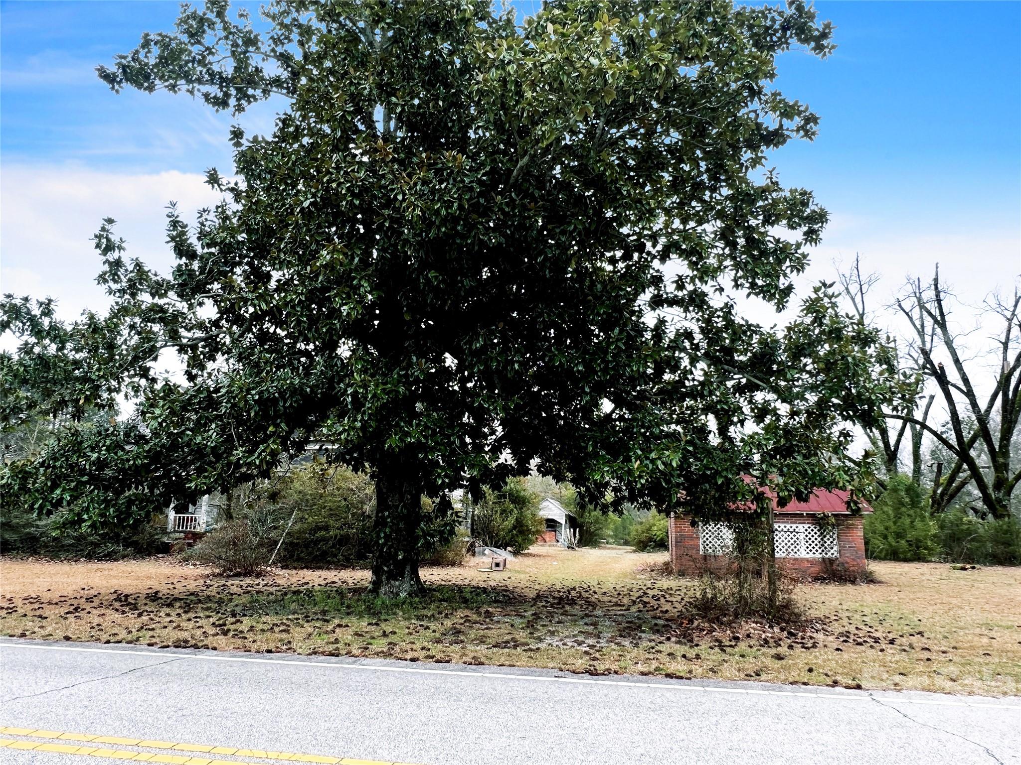 1777 Overbrook Road Kershaw, SC 29067 - Photo 17 of 25 a backyard of a house with large trees