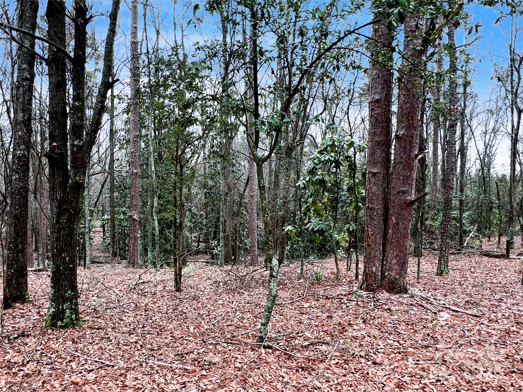 1777 Overbrook Road Kershaw, SC 29067 - Photo 6 of 24 a view of outdoor space