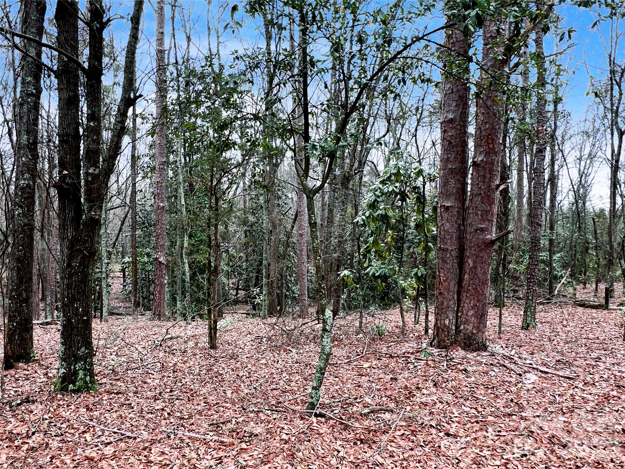 1777 Overbrook Road Kershaw, SC 29067 - Photo 9 of 25 a view of outdoor space