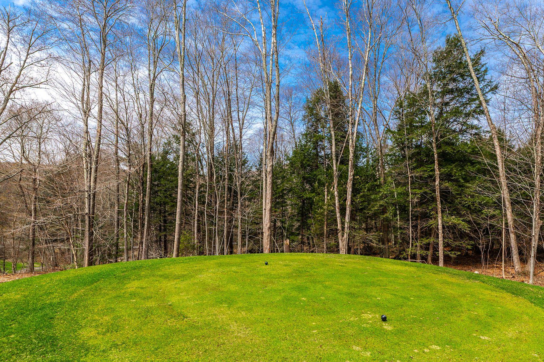 530 Finbars Forest Road Manchester, VT 05255 - Photo 6 of 6