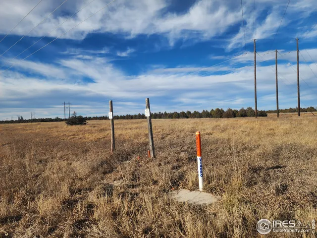 a view of a lake with a city