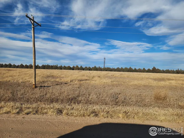 a view of a dry yard