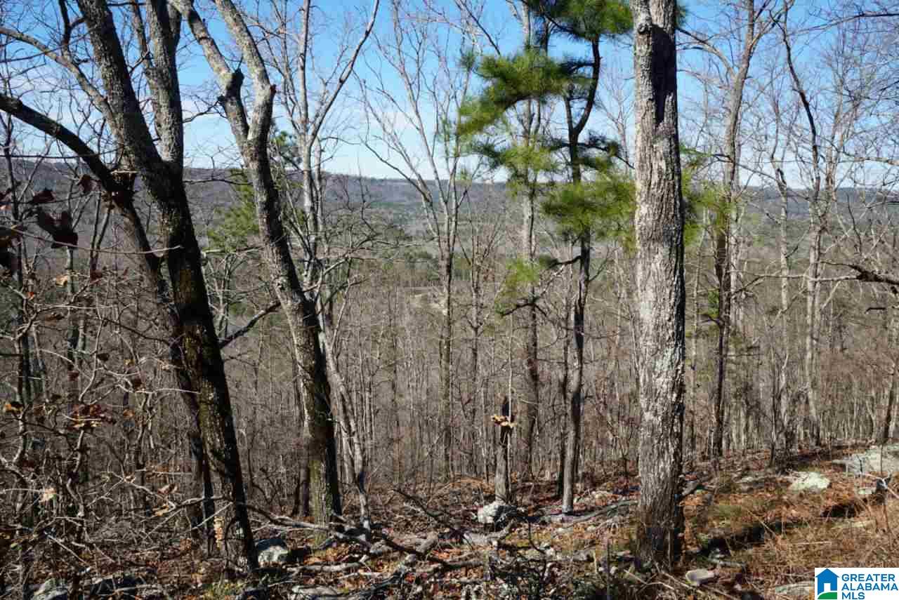 Mystic Valley View, Unit 1 Sterrett, AL 35147 - Photo 1 of 33