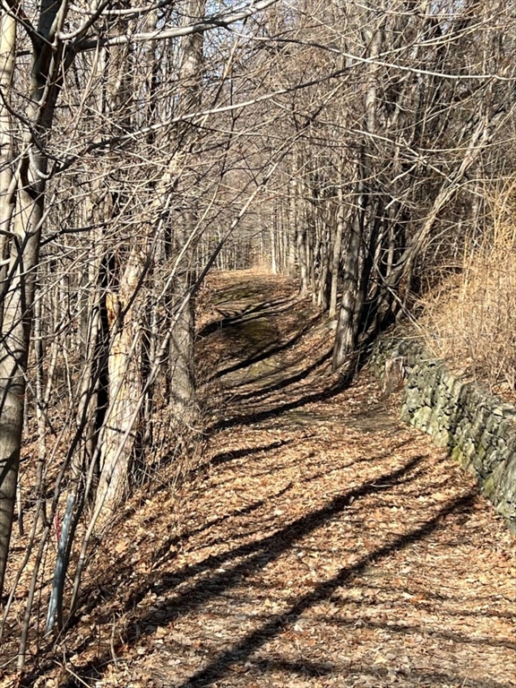 0 Main Street Ashby, MA 01431 - Photo 2 of 3 a view of a yard