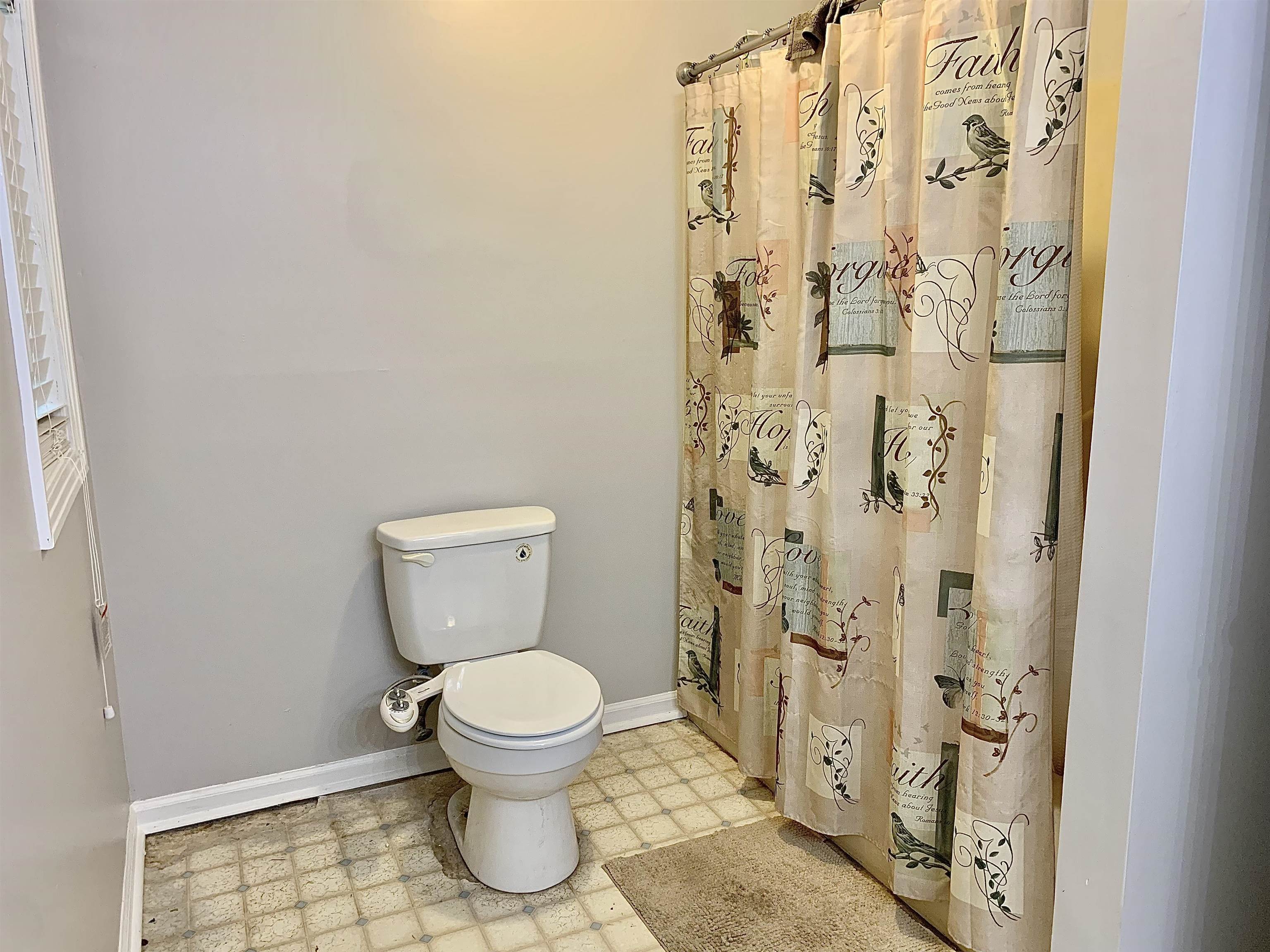 1038 Lake Street Bolivar, TN 38008 - Photo 17 of 31 Bathroom with toilet and a shower with curtain