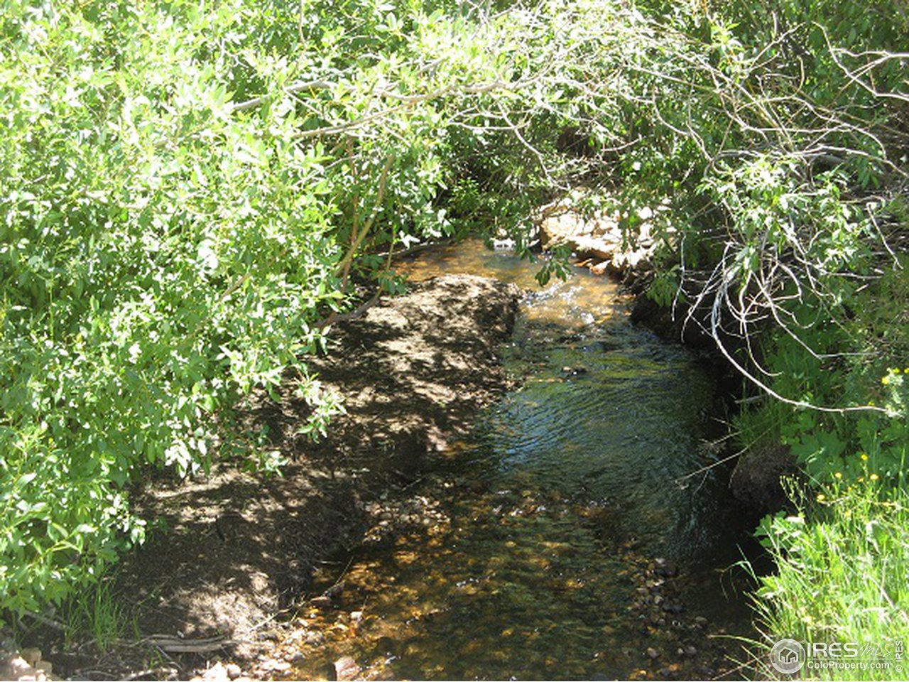 755 Beartrap Road Red Feather Lakes, CO 80545 - Photo 1 of 24 Lone Pine Creek