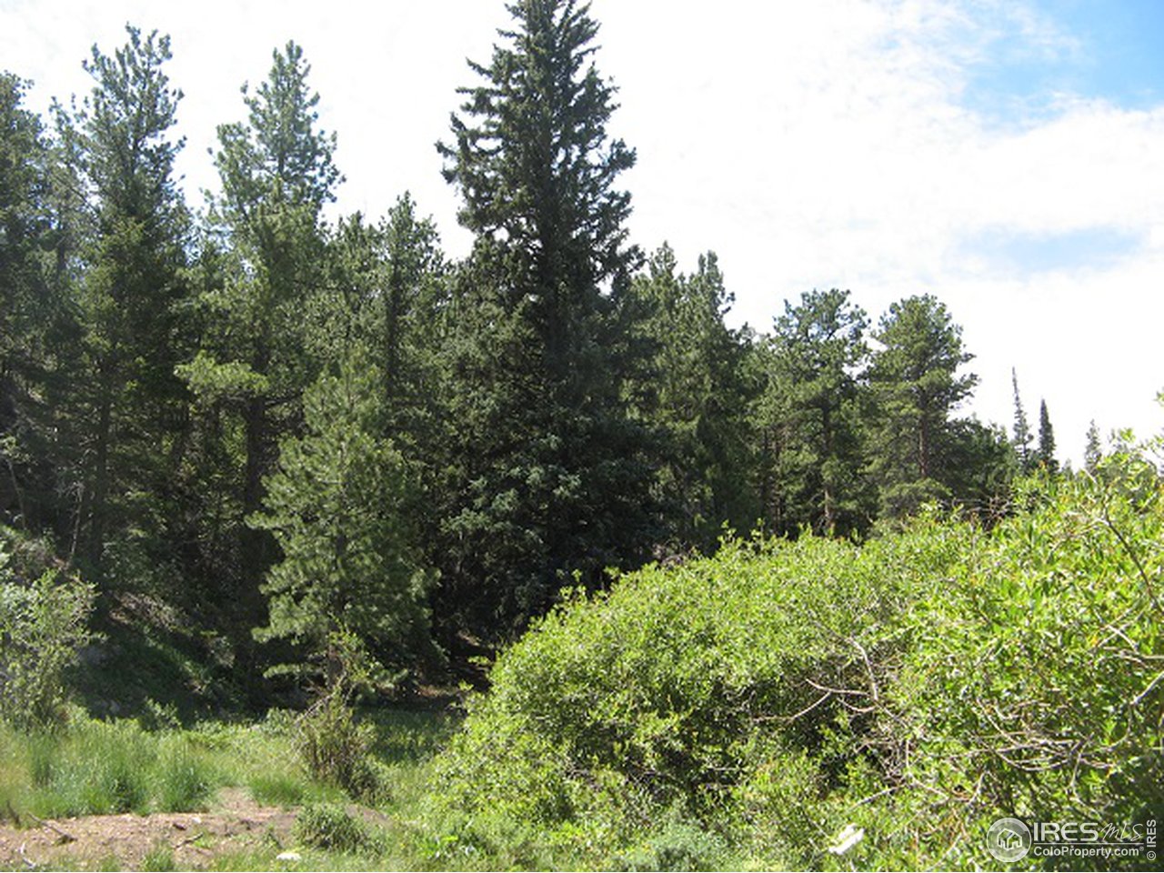 755 Beartrap Road Red Feather Lakes, CO 80545 - Photo 11 of 24 Property