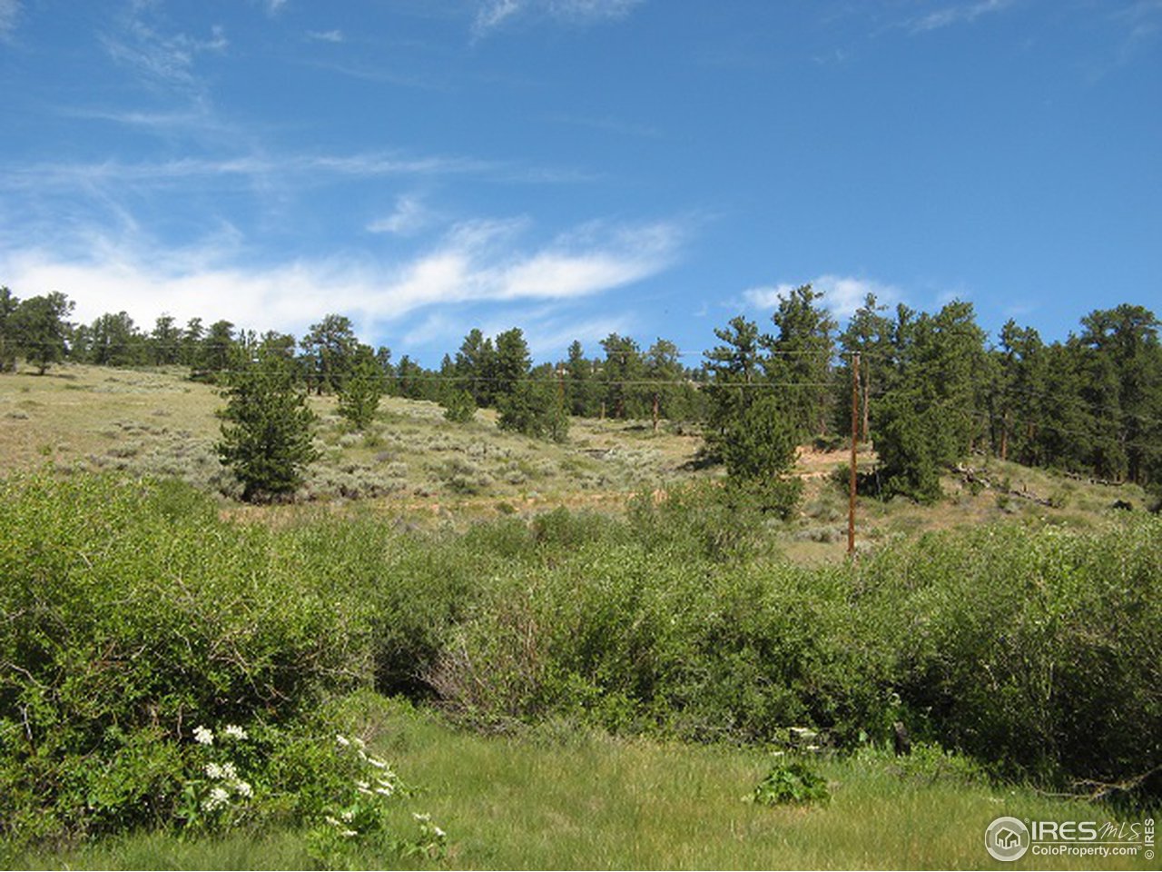 755 Beartrap Road Red Feather Lakes, CO 80545 - Photo 12 of 24 Views from Property