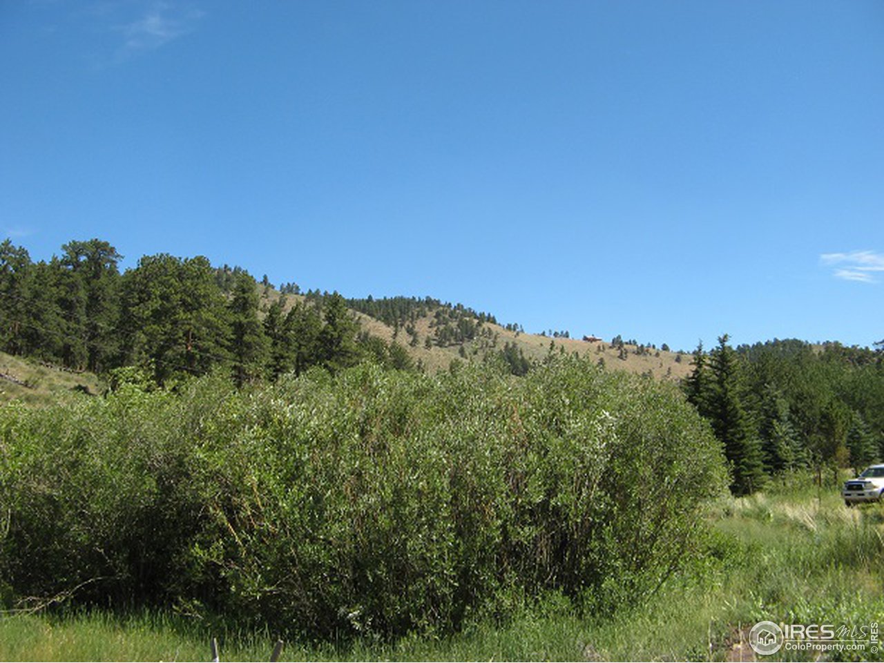 755 Beartrap Road Red Feather Lakes, CO 80545 - Photo 13 of 24 Views from Property