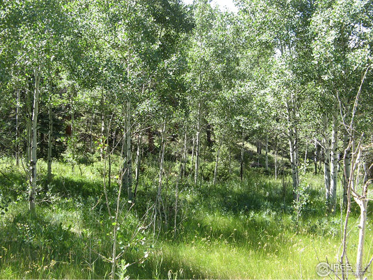 755 Beartrap Road Red Feather Lakes, CO 80545 - Photo 2 of 24 Aspen Grove