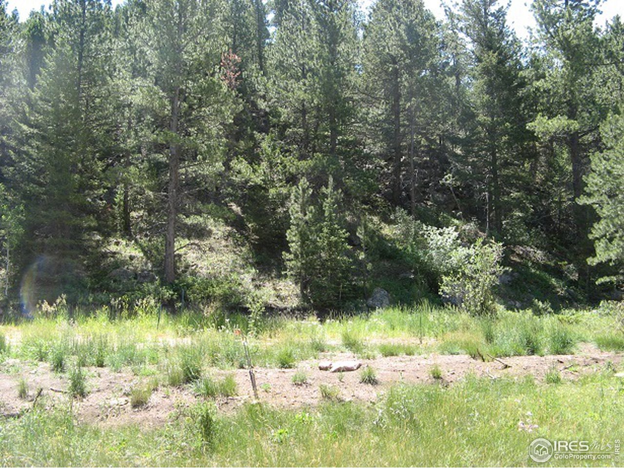 755 Beartrap Road Red Feather Lakes, CO 80545 - Photo 7 of 24 Hill side of the property