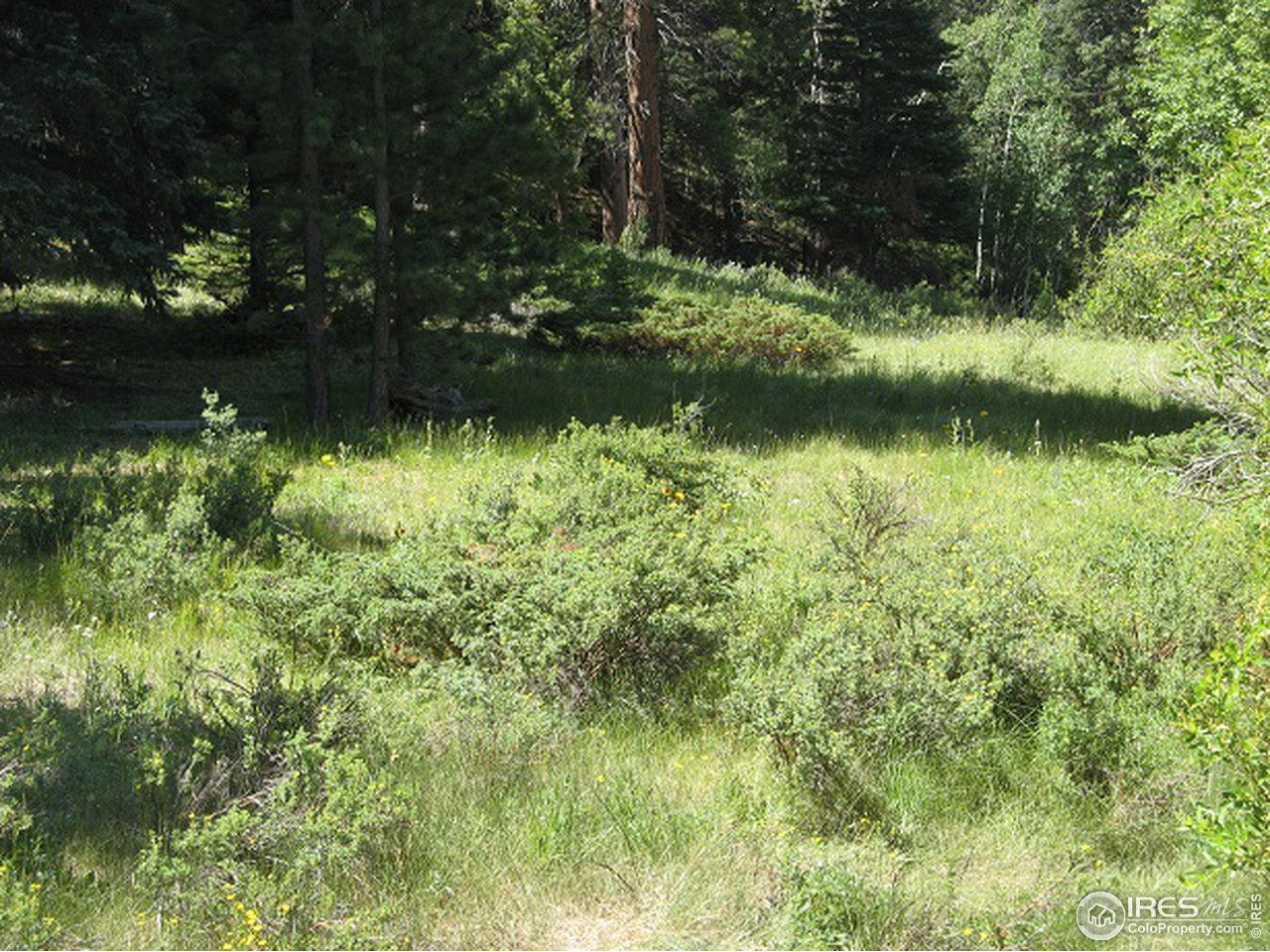 755 Beartrap Road Red Feather Lakes, CO 80545 - Photo 8 of 24 Property