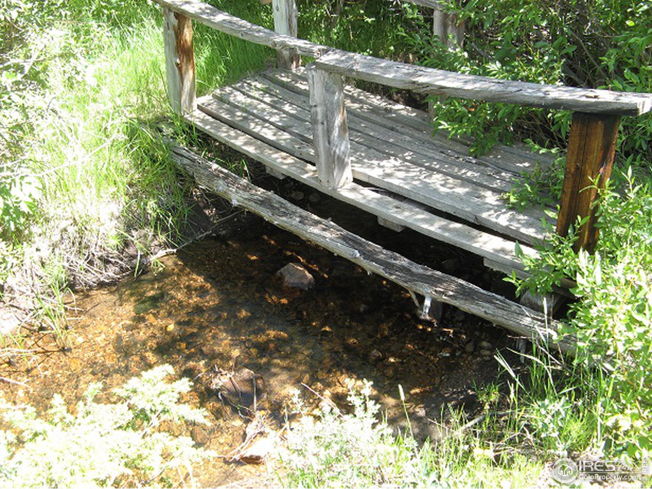 755 Beartrap Road Red Feather Lakes, CO 80545 - Photo 10 of 24 Lone Pine Creek