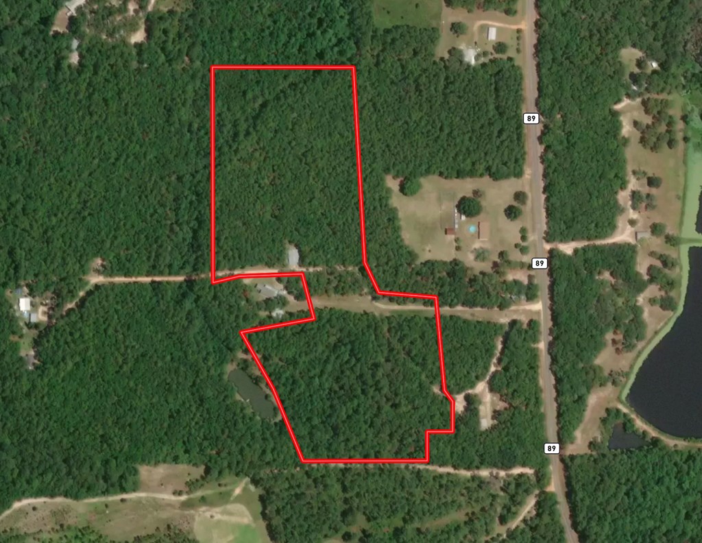 16.8-ac Mound Road Black, AL 36314 - Photo 12 of 17