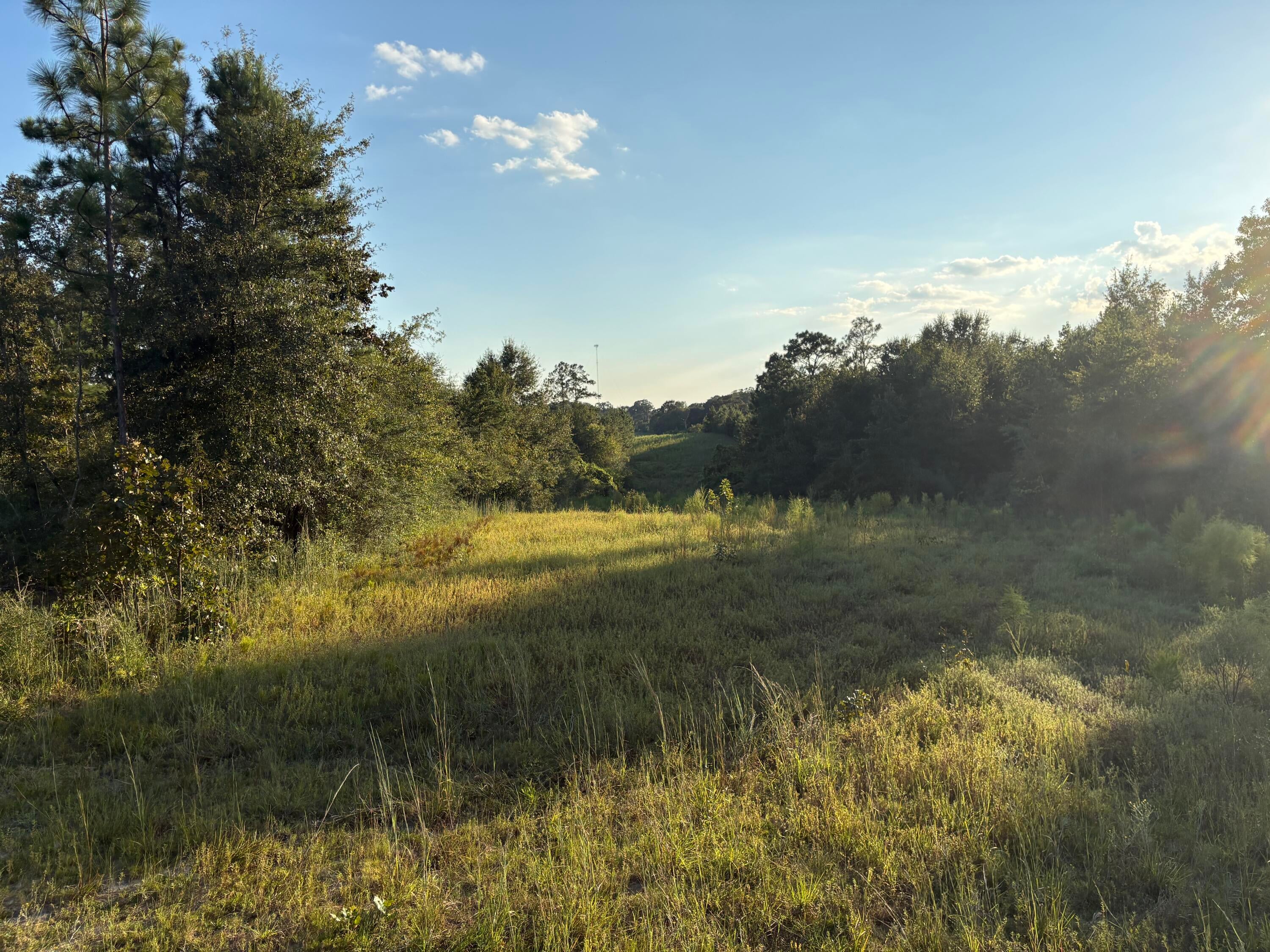 0 Sawmill Road Sandy Hook, MS 39478 - Photo 13 of 17 Gallery Image 13