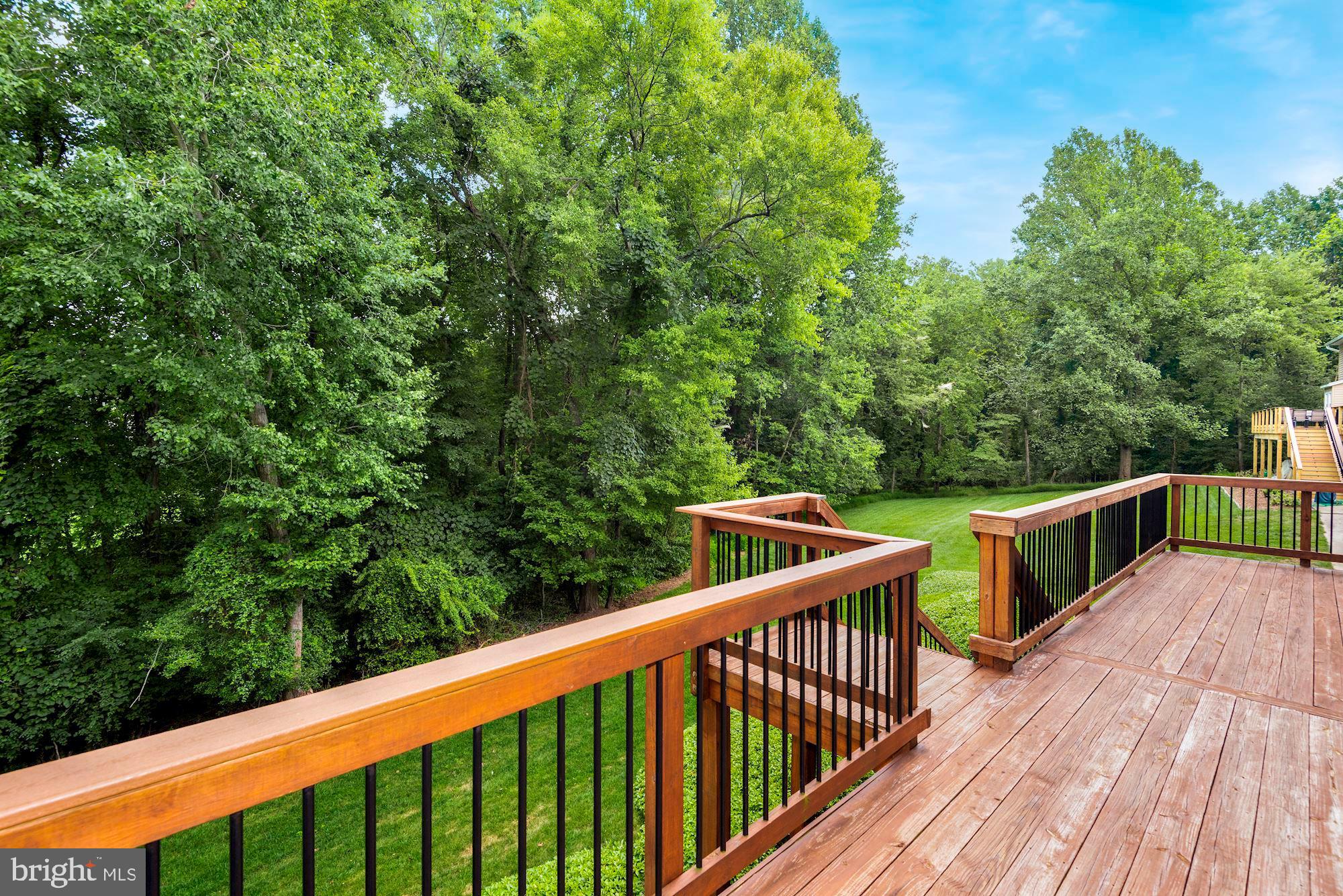 2813 Rifle Ridge Road Oakton, VA 22124 - Photo 40 of 41 BACKING TO LUSH WOODS AND NATURAL HABITATS