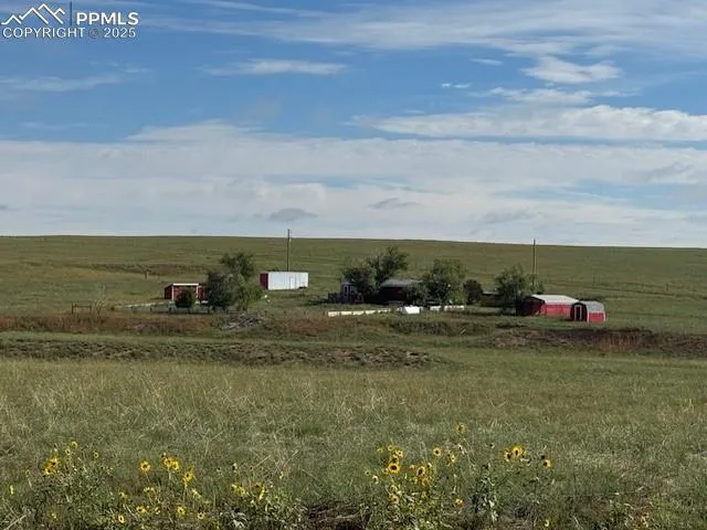 a view of a field with an trees
