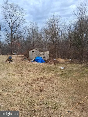 a view of outdoor space with trees