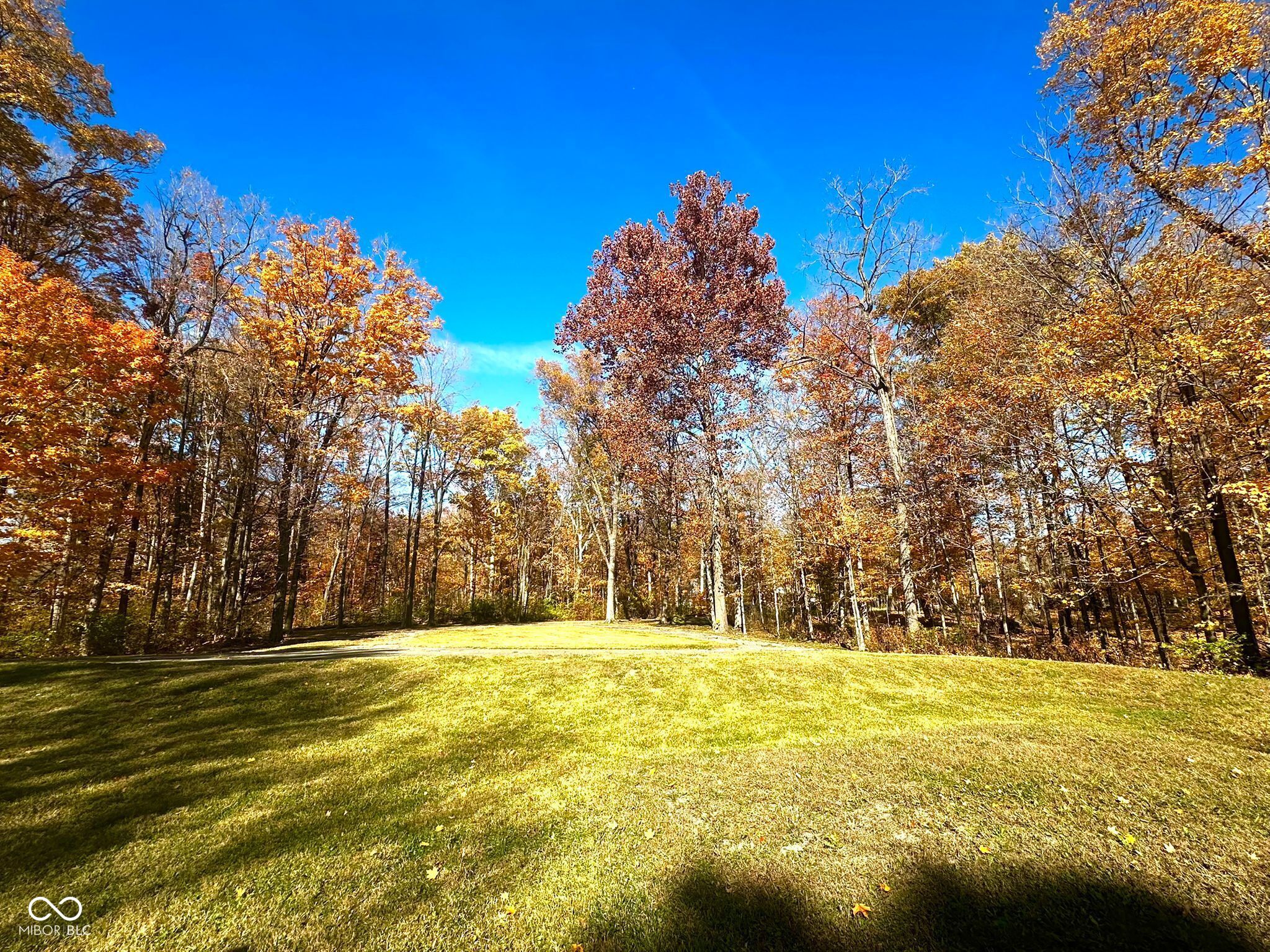11401 Forest Knoll Circle Fishers, IN 46037 - Photo 11 of 28
