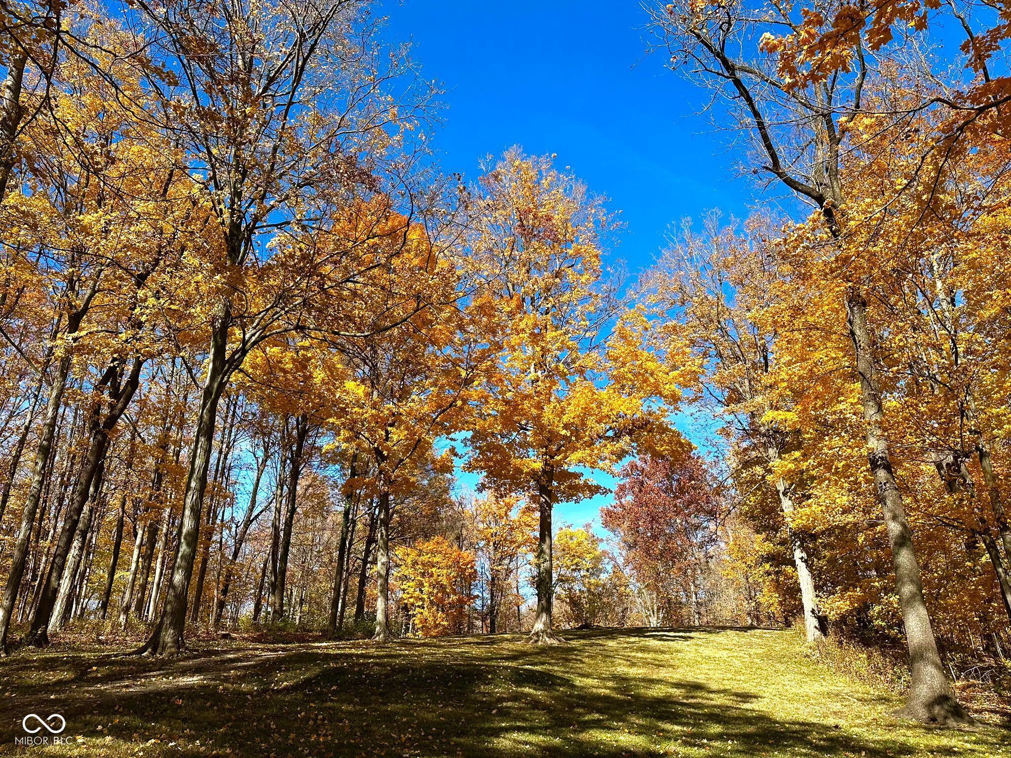 11401 Forest Knoll Circle Fishers, IN 46037 - Photo 13 of 28