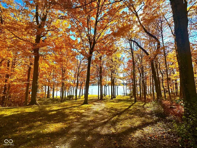 $3,999,990 | 11401 Forest Knoll Circle, Fishers, IN 46037