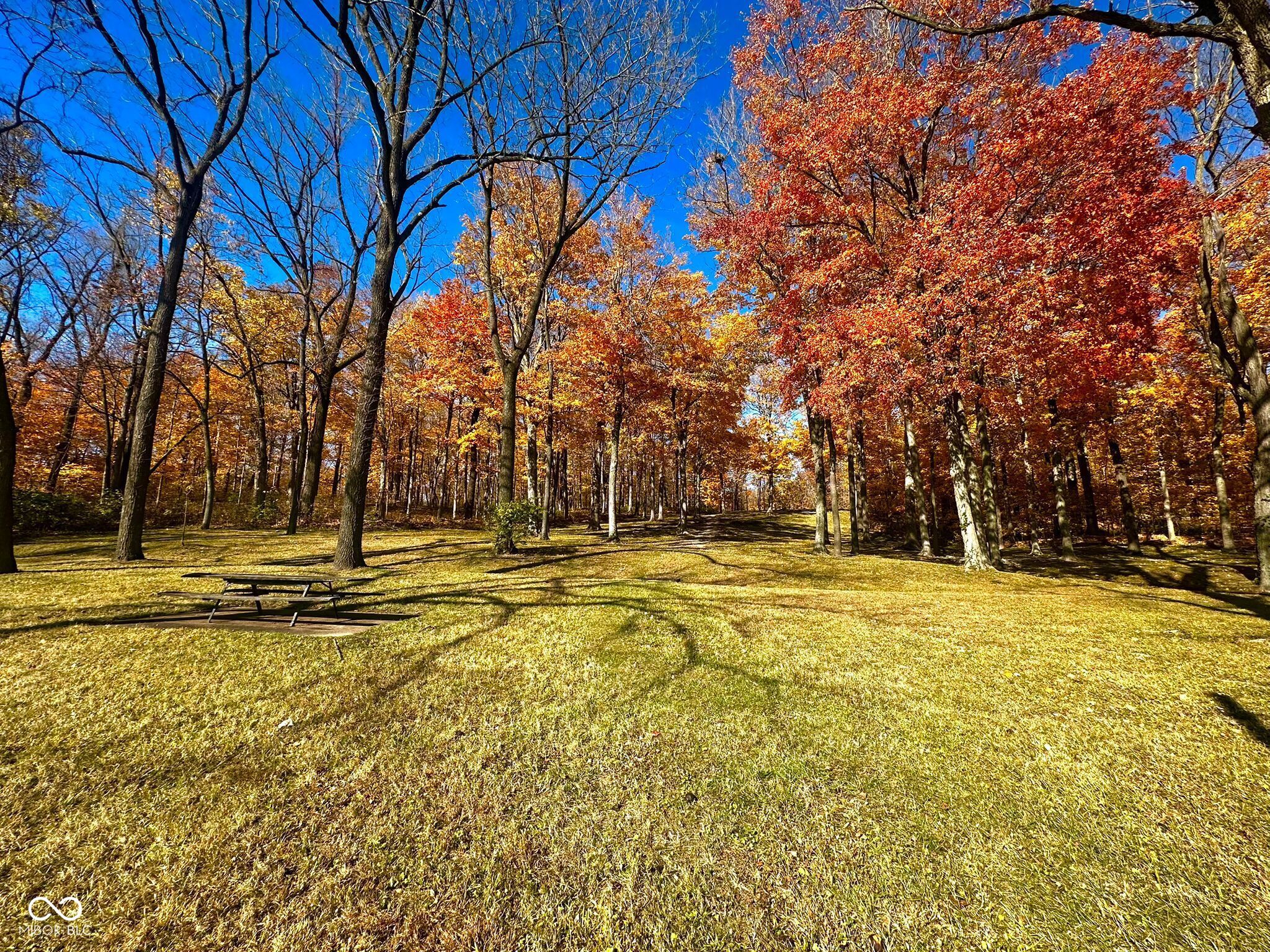 11401 Forest Knoll Circle Fishers, IN 46037 - Photo 15 of 28