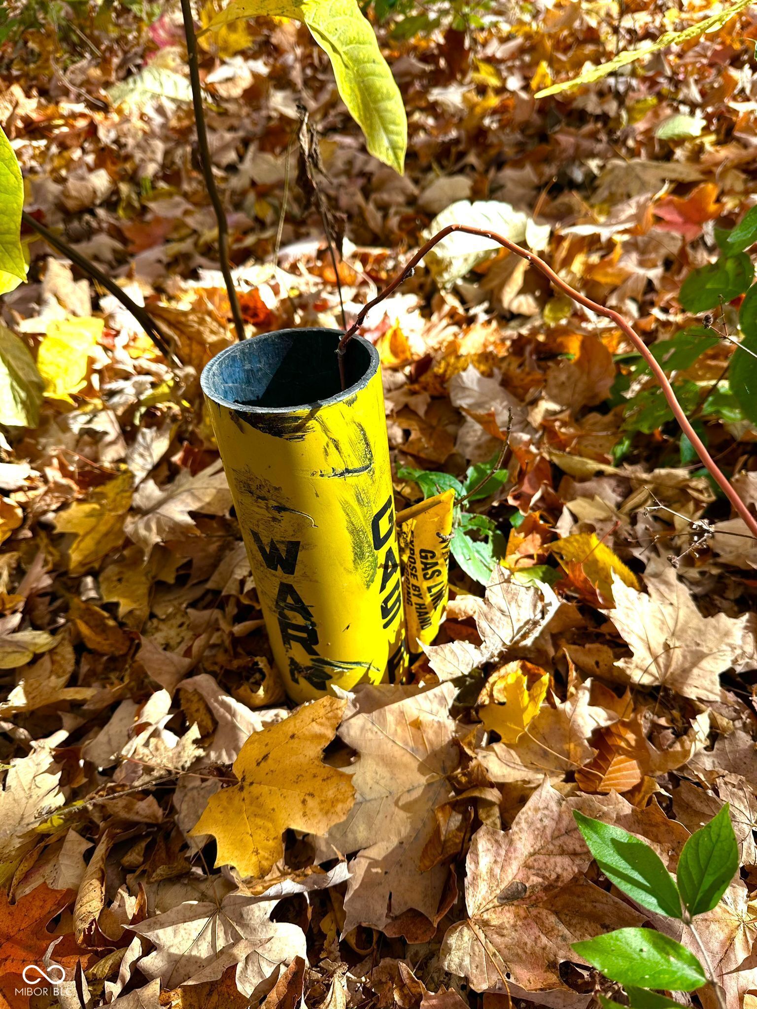 11401 Forest Knoll Circle Fishers, IN 46037 - Photo 25 of 28