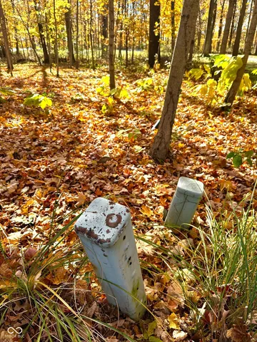 $3,999,990 | 11401 Forest Knoll Circle, Fishers, IN 46037