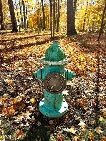 $3,999,990 | 11401 Forest Knoll Circle, Fishers, IN 46037