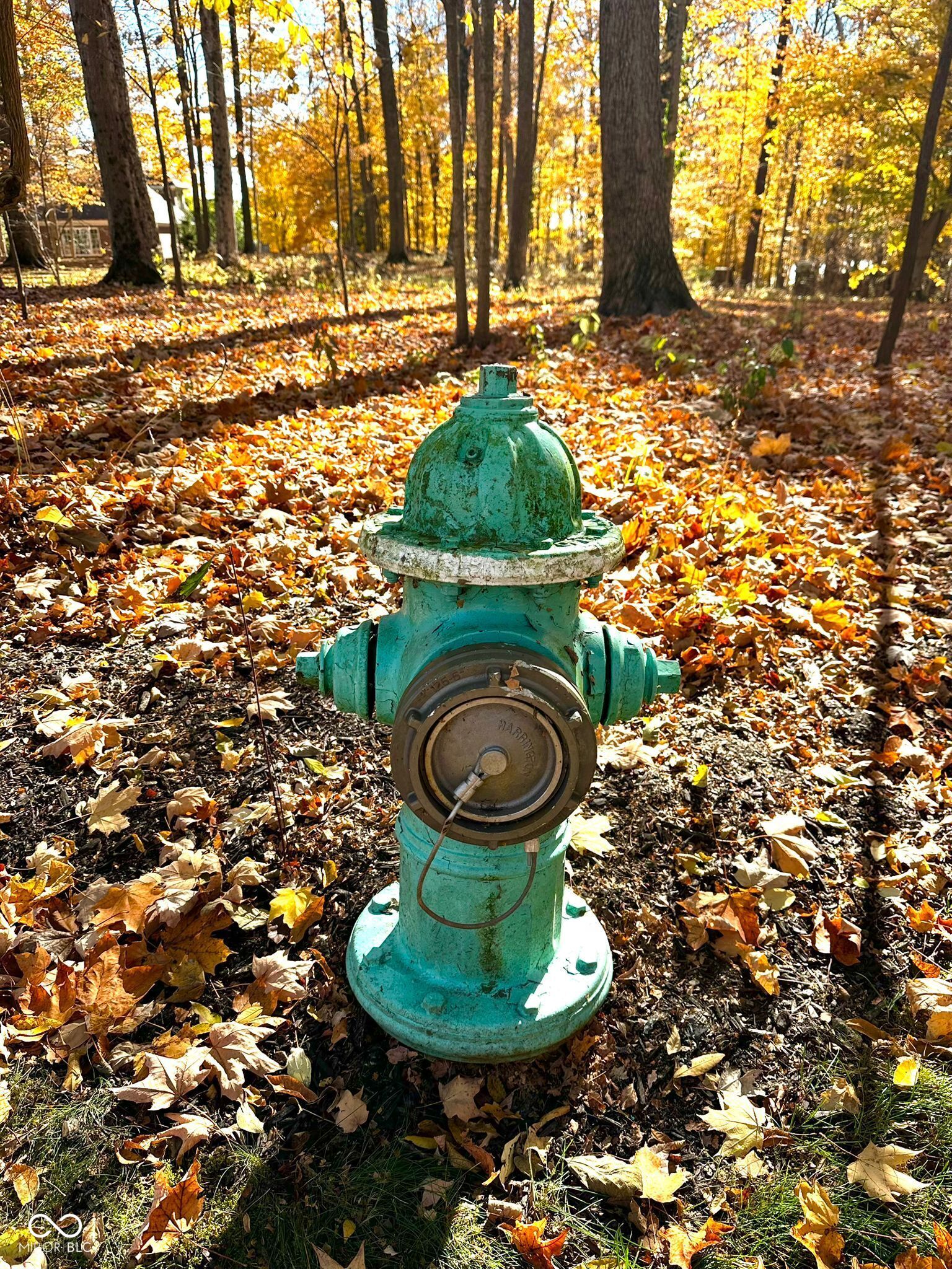 11401 Forest Knoll Circle Fishers, IN 46037 - Photo 28 of 28