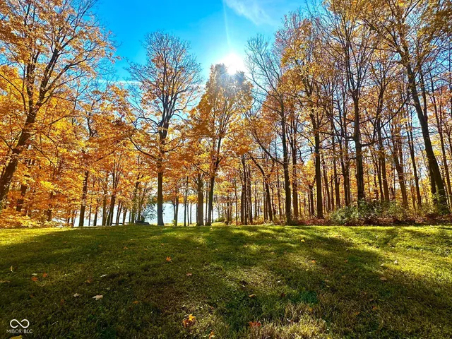 $3,999,990 | 11401 Forest Knoll Circle, Fishers, IN 46037